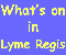 What's on in Lyme Regis' Website
