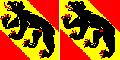 Flags of the Bernese Oberland