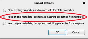 list of import options